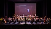 2015 Jahreskonzert